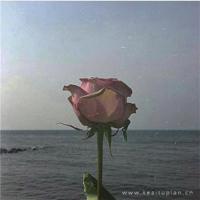 讲述杭州故事 浙理工这位老师设计的旗袍亮相凯