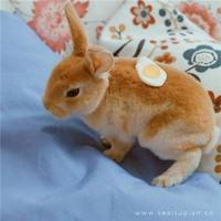 爱情保卫战经典语录