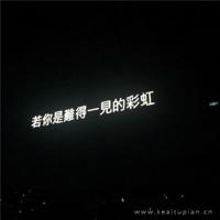 卸下包袱，放开双手，该做就做。