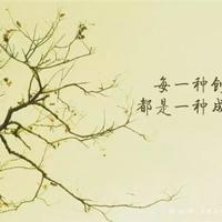 买书与读书散文