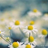 让我们用时间诠释爱情