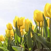 如果没有选择,那就努力做到最好。