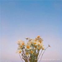 爱情，弱者最执着