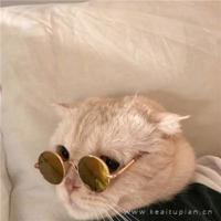 悲伤的世界，形容伤心的成语