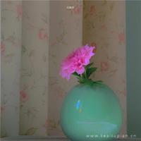 想读懂他人,要先读懂自己