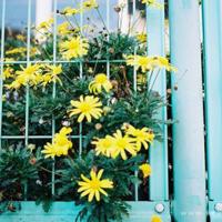 关于爱情，每个人都有话说