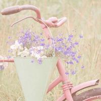 留些空隙给生命