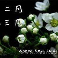 林清玄散文读后感范文7篇