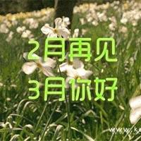 圣经中比较不错的语录希望大家喜欢