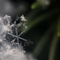 爱情染指的岁月