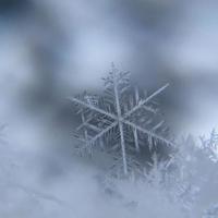 经典美文美句摘抄:人生就像一次旅行