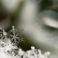 搞笑幽默笑话这个多少钱?