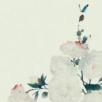 一世情缘的散文