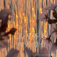 一定要相信爱情