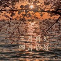 没有女朋友，就去卖玫瑰吧