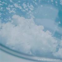 爱情亲情友情经典语录 亲情友情爱情经典语录