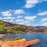 迷狸鬼故事之悲伤作文