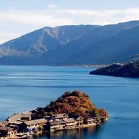 2011亦舒经典语录 喜欢搜集东西，是因为没有安全感