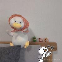 从街道变迁见证成都发展 听“晖哥”讲述成都街