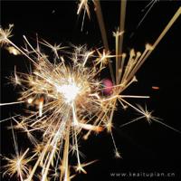 飘落在夏天的爱情花蒂