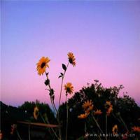 男人其实也嫌你穷