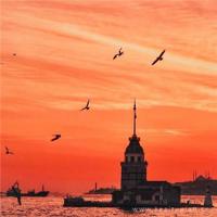 跟感情说再见的句子说说心情语录:以后我啊,不会喜欢也不会打扰你了