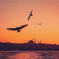 一阵风,拂过我胸口