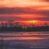 生活的美不在绚烂，而在于平和