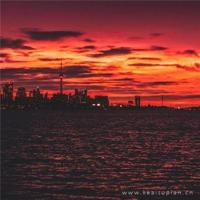 散文欣赏：My dead，My hero