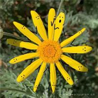 抗日战争胜利及反法西斯战争胜利70周年手抄报