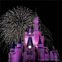 描写父亲的片段有哪些