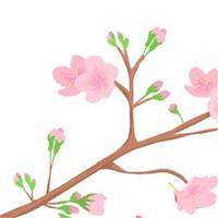 学会接纳自己,更不要低估自己。