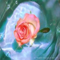 真假赌鬼_民间鬼故事