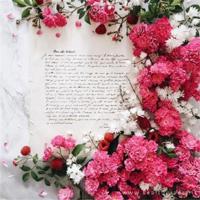 优美句子摘抄:你给予我的爱,是一场无声的告白