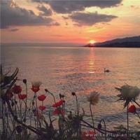 唯美时光伤感意境带字图片_时光在指尖流连