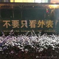 爱是什么意思,一组4岁到8岁的答案