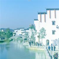 平生伪造过的文字,是一封情书