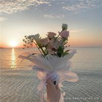 今生欠你一个拥抱