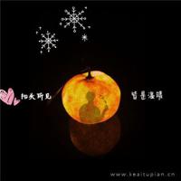 《打算在后窗种满紫罗兰和君子兰》