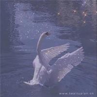 我给孩子的一封信