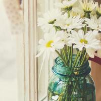 剑来情感语录句子/剑来一句话