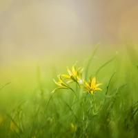 清新美好女生图片_回忆总是美好的