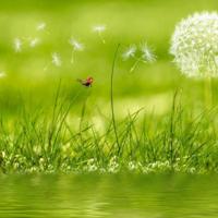 人生最困难的不是努力，也不是奋斗，而是做出正确的抉择。