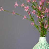 北漂族口述 我们不配谈爱情？