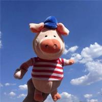 停下,回首,是非过散文