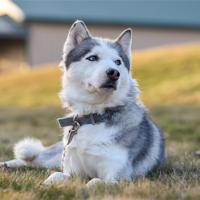 最后一秒,让我紧紧握住你的手好吗?(