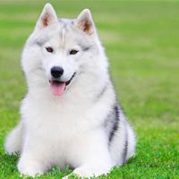 经典的人生励志座右铭