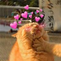 在转身之后的华丽散文