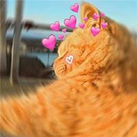 搞笑语录2011笑死人