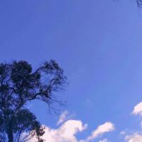 遇见你是我今生最大的幸福